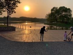 -东郊湿地公园