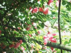 -上海交通大学(闵行校区)