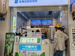 -一只酸奶牛(春熙路店)