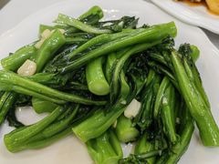鸡油炒菜心-文记壹心鸡(宝华路店)