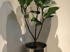 -喜茶(上海兴业太古汇店)