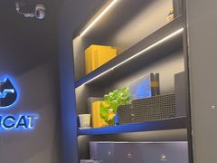 -梵猫·新养生(加州广场店)