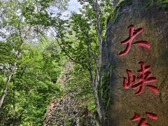 -茅兰沟国家森林公园