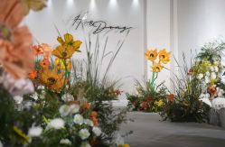 -明典婚礼策划·婚车租赁·婚纱摄影