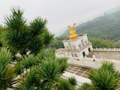 -陈家沟云太极拳馆培训中心