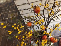 -瓦舍茶馆(聚源路店)