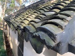 -上海佘山国家森林公园天马山园