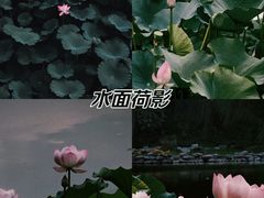 -颐和园