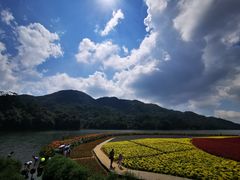 -广州市石门国家森林公园