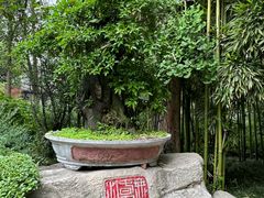 -成都杜甫草堂博物馆