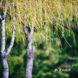 沿着二环走 寻花&问柳