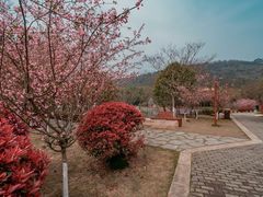 -游子山休闲旅游区
