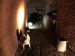 -乐山大佛风景名胜区乌尤寺南门-售票点