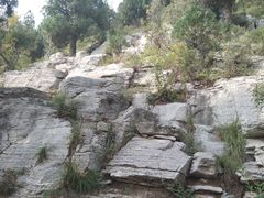 -佛慧山