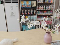 -瑞鹏宠物医院·骨科·猫科·内科(第一中心)
