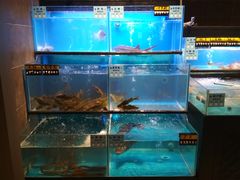水产区-野妹经典火锅(江夏中百店)
