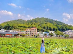 -红山村