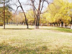 -黑龙江中医药大学