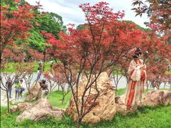 -广州市帽峰山景区
