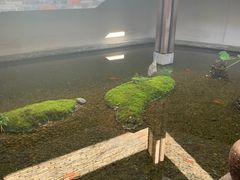 -几荷·恰似故人来(秀水广场店)