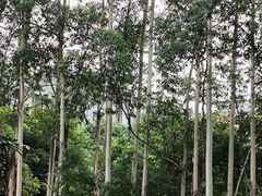 -华农酸奶文化馆
