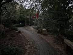 -雨花胜境