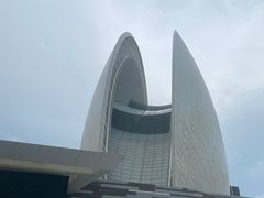 -野狸岛