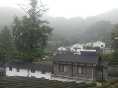 景点-龙井村