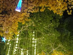 -横店影视城梦幻谷园区