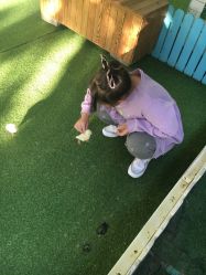 -萌宠亲子动物乐园(槐房万达店)