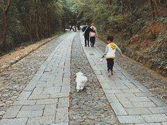 -紫金山山顶公园