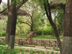 -北京野生动物园