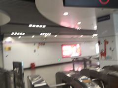 -上海动物园(地铁站)