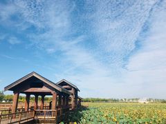 -天津东丽湖风景区