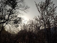 -上海交通大学（闵行校区）-李政道图书馆