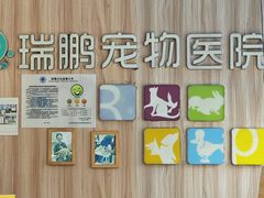 -瑞鹏宠物医院·内科·中兽医·骨科(苗圃店)
