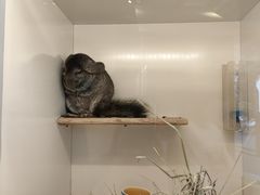 -龙猫仔乐园(惠福东路店)