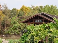 -海珠湖公园