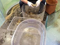 -火福·天湖阁大闸蟹博物馆主题餐厅(浅水湾店)