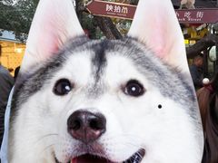 -陕拾叁(袁家村店)