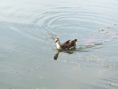 -前关湿地公园