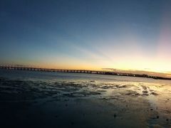 -宝安西湾红树林湿地公园