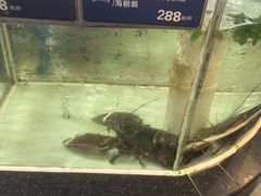 -百鱼庄(仙葫店)