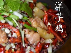 锅仔洋芋鸡-云之南(八里庄店)