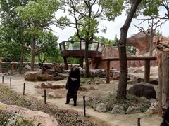 -翊宠yipet猫狗购宠庄园犬舍•猫舍