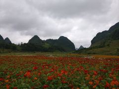 -靖西鹅泉风景区