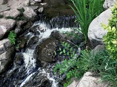 -大连植物园