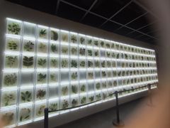 -广东中医药博物馆