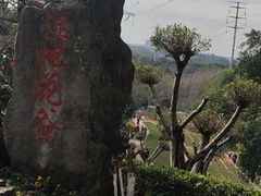 -重庆园博园