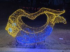 -青龙湖公园
